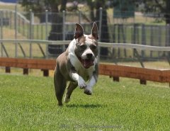 December 2018 - Lure Racing - Capalaba Racing Club