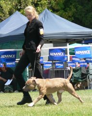 Stoner at the Royal Bathurst Show - 2008