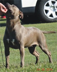 Indy at her first show in 2014