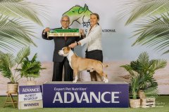 20.09.24 Advance Pacific International | Runner Up In Group | Judge: Mr Imran Hussain (Pakistan)