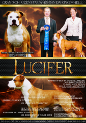 LUCIFER_ADVERT.png