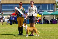 Australian Bred In Group | 05.09.21 | Judge: Mrs Silvana Tassan (QLD)